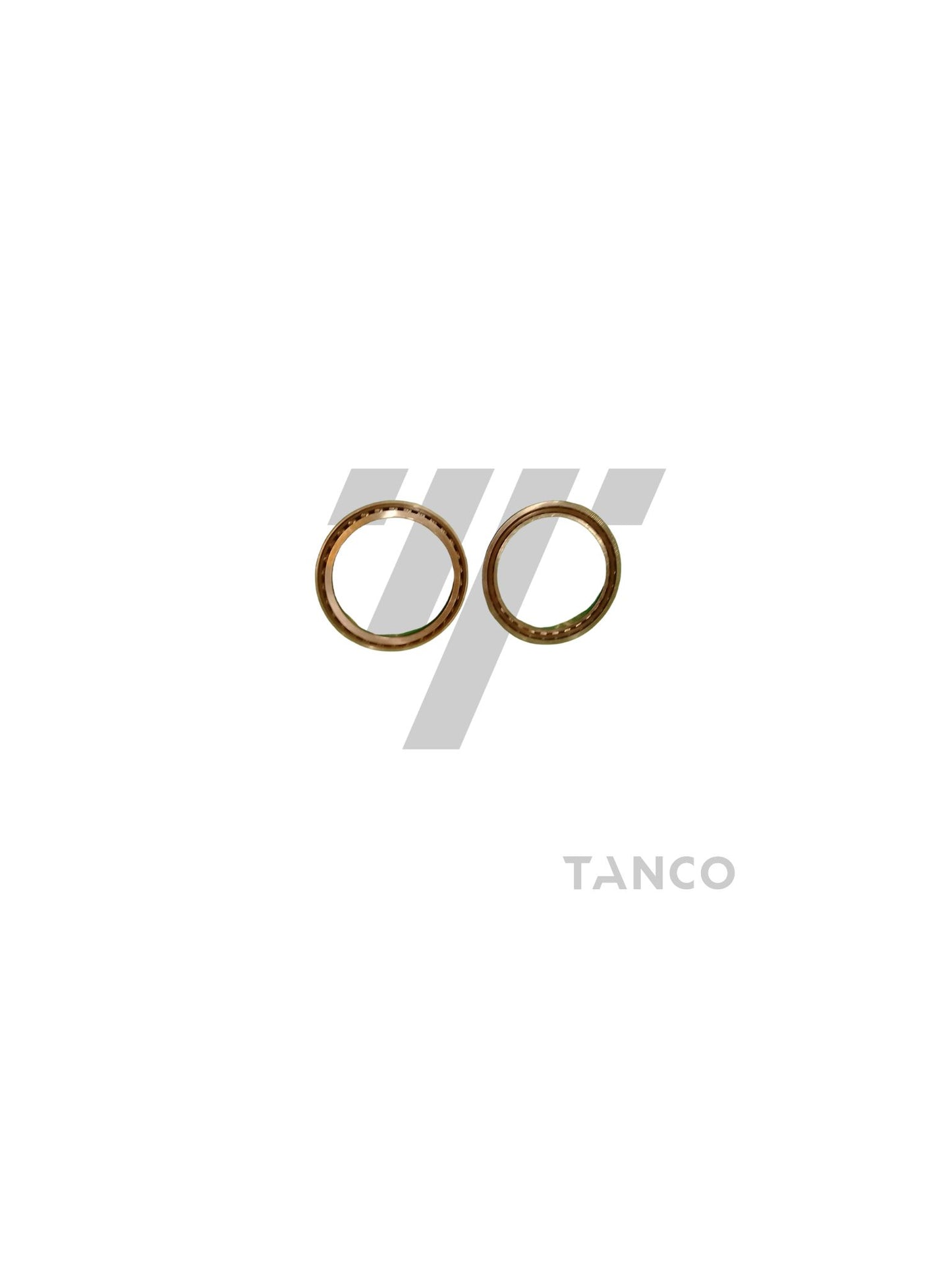 CTM Gearbox Bearing (41309750000)